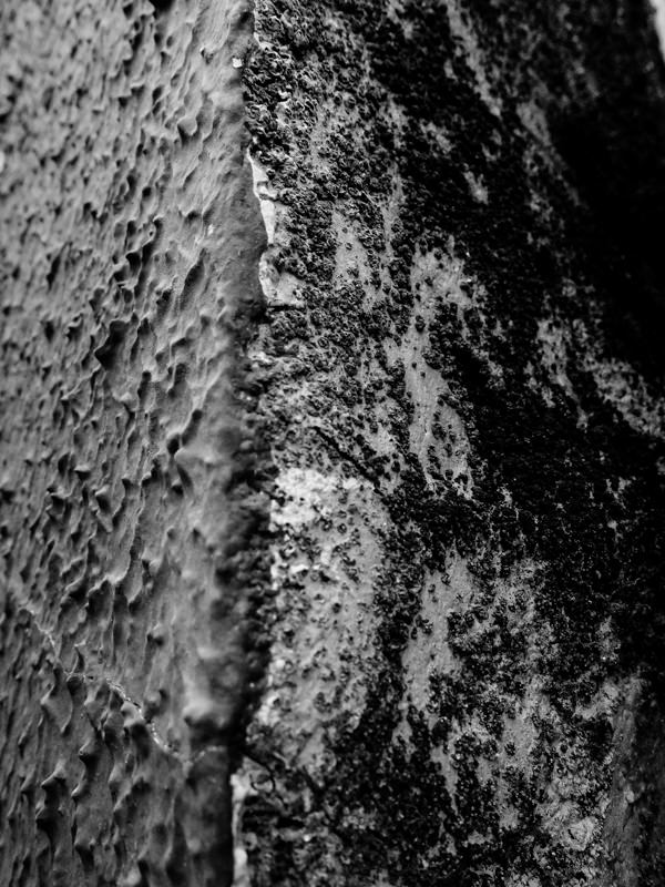 texturas0015